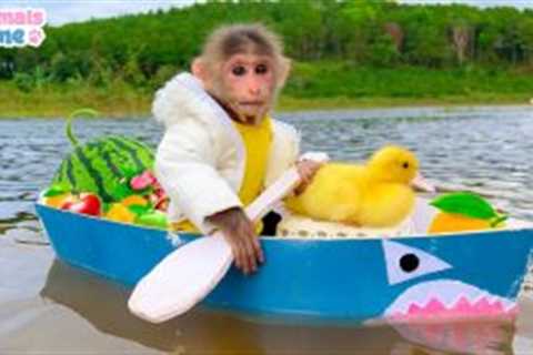 BiBi rowing boat to picnic with duckling