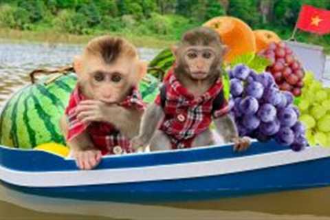 Bim Bim and his wife rowes boat to pick watermelon make juice and takes care of ducklings