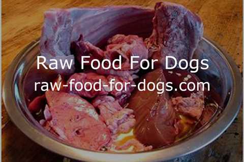 Raw Food For Dogs - A Guide To Raw Dog Food For Beginners