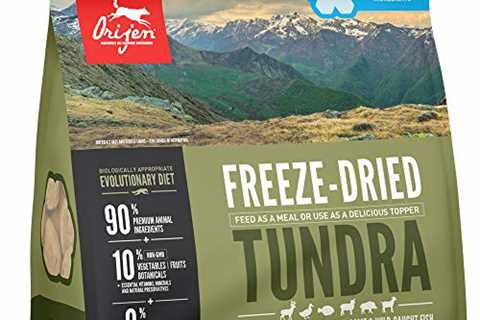 Orijen Freeze-Dried Dog Food, Original, Biologically Appropriate  Grain Free