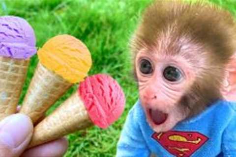 Monkey Baby Bon Bon eats rainbow ice cream and the puppy plays with baby frog in the garden