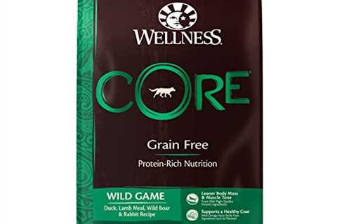 Wellness CORE Natural Grain Free Dry Dog Food, Wild Game Duck, Turkey, Boar  Rabbit, 26-Pound Bag