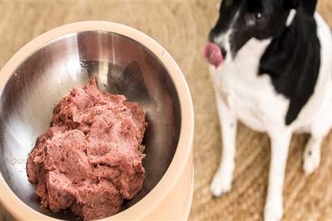 Where to store raw dog food?