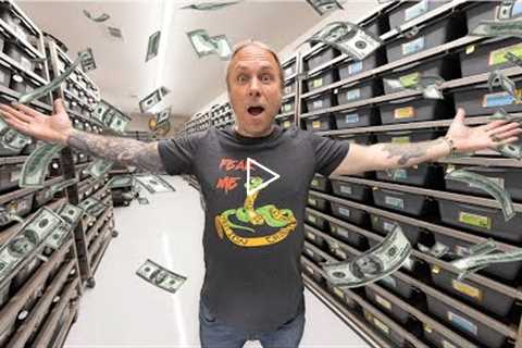 MOST EXPENSIVE SNAKE COLLECTION IN THE WORLD!!! | BRIAN BARCZYK