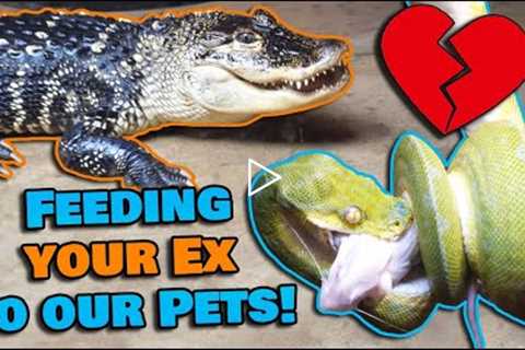 Feeding your Exes to our Reptiles for Valentine's Day!