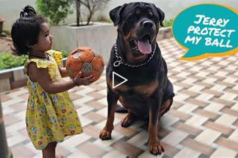 Cute baby playing with dogs | funny baby and pets | funny dog videos |