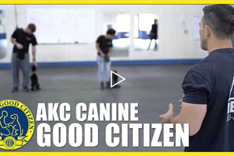 Training and Preparing Your Dog for The AKC Canine Good Citizen Test.