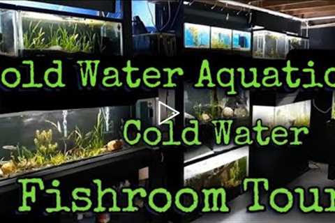 Fish Room Tour March 2021 Cold Water Aquatics