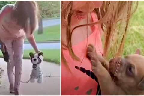 Little Girl Trains Herself To Be A Good Big Sister To Tiny Puppy