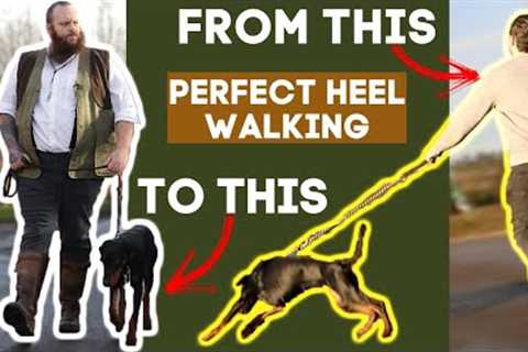 How To Teach Your Dog To Walk To Heel In Seconds