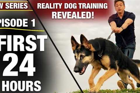 First 24 Hours with a TOTALLY UNTRAINED DOG! NEW SERIES: Reality Dog Training Episode 1