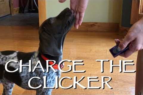 First Step With Your New Puppy - Clicker Training