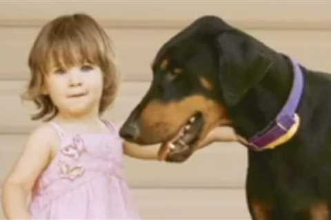 Rescued Doberman Grabs Baby Sister & Slings Her Away From Deadly Snake