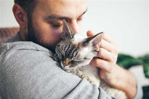 How Cats Help Humans Across the World Get Through Lockdowns & Life