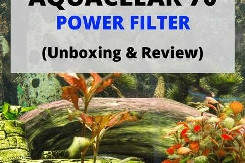 Aquaclear 70 Review – Tested & Compared To Top Brands.