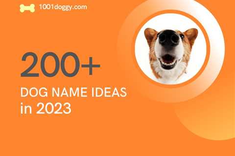 200+ dog name ideas in 2023