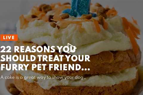 22 Reasons You Should Treat Your Furry Pet Friend to a Dog Cake