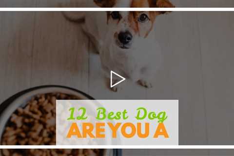 12 Best Dog Treats for Picky Eaters
