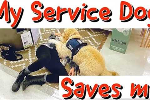 Service Dog Training // At Target
