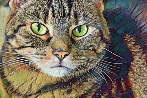 Two Photos and Two Arty Effects #CaturdayArt