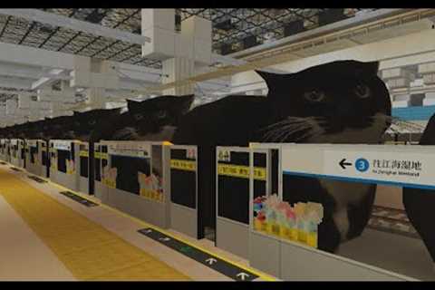 Maxwell Cat train 【Minecraft MTR Mod】
