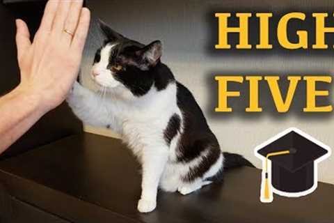 Lesson: Give me high five
