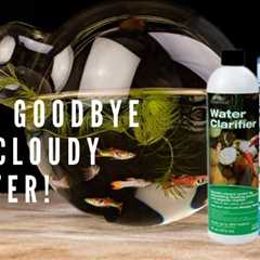 Say Goodbye To Cloudy Water From Your Fish Tank! Choose The Best Water Clarifier For Aquarium