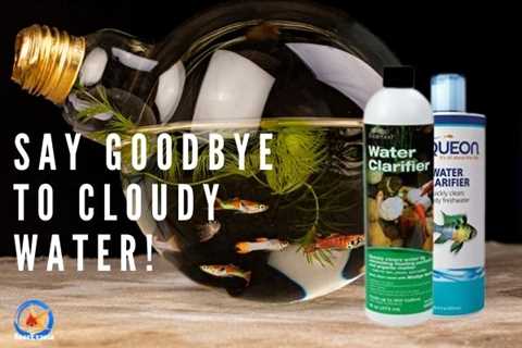 Say Goodbye To Cloudy Water From Your Fish Tank! Choose The Best Water Clarifier For Aquarium