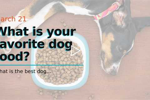 What is your favorite dog food?