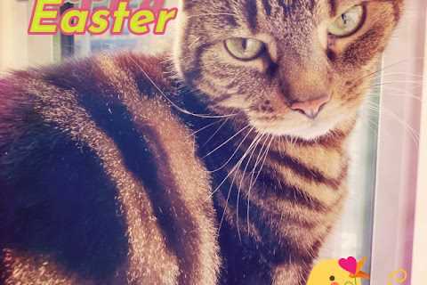 Happy Easter Caturday Art