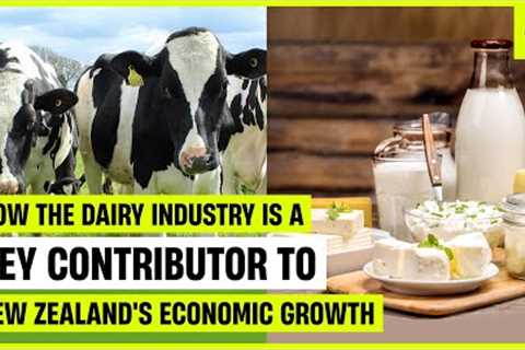 How the dairy industry is a key contributor to New Zealand''s economic growth!