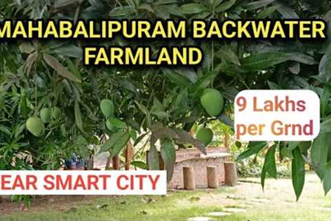 ID 1061: 9 Lakhs ECR Backwater Farmland For sale Chennai🌴 Mahabalipuram 3 Face🌴🌴SMART CITY🌴Mr..