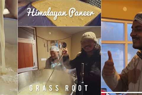 Himalayan Ghee and Paneer by Grass Root: Health to plate