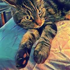 Paws On The Bed Caturday Art