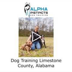 Dog Training Limestone County Alabama - Alpha Instincts Dog Training