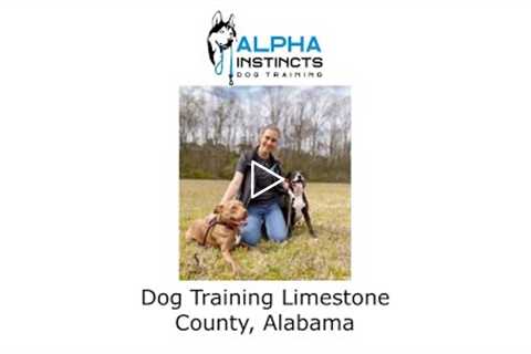 Dog Training Limestone County Alabama - Alpha Instincts Dog Training