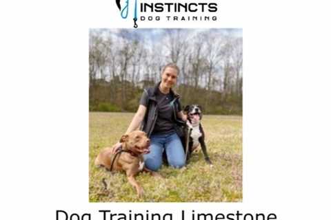 Dog Training Limestone County, Alabama