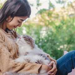 How Much Attention Do Cats Need? 5 Tips to Keep Them Happy