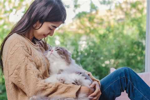 How Much Attention Do Cats Need? 5 Tips to Keep Them Happy