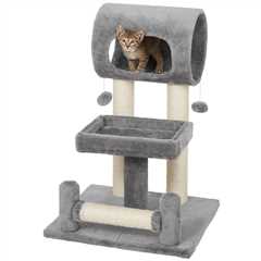 How tall should your cat tree be?