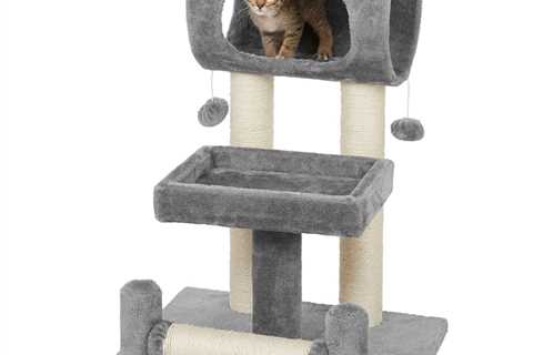 How tall should your cat tree be?