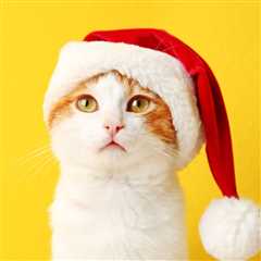 How to Have a Safe and Cat-Friendly Holiday Season