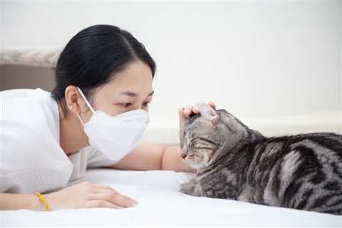 Living With Cats When You’re Immunocompromised: Risks & Safety Tips