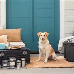 How Can You Effectively Ready Your Home for a New Canine Adoption?