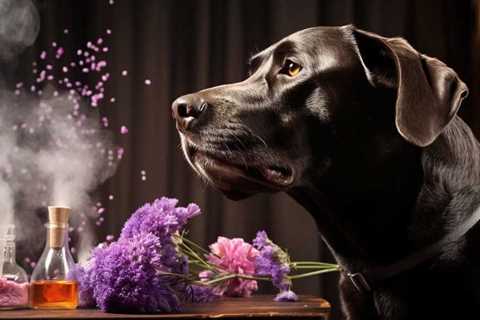 Master the Art of Scent Detection