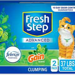 Fresh Step Clumping Cat Litter Review: Gain Fragrance Galore