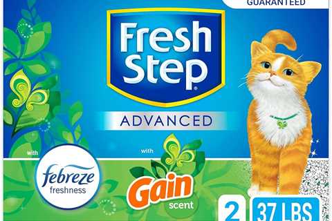 Fresh Step Clumping Cat Litter Review: Gain Fragrance Galore