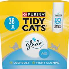 Purina Tidy Cats Glade Clear Springs — Honest Review