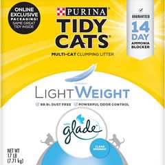 Purina Tidy Cats Review: Low Dust Wonder