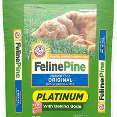 Feline Pine Platinum Review: No More Odor Drama